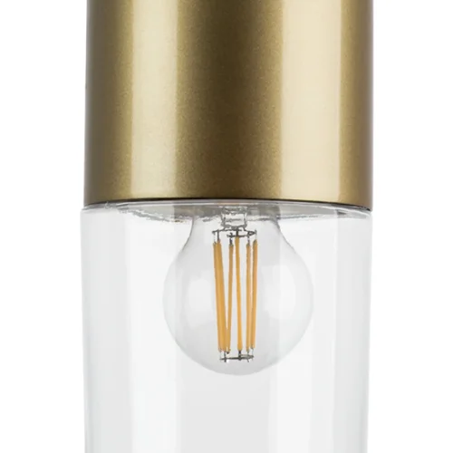 Светильник подвесной Ramo 690013 Lightstar прозрачный 1 лампа, основание матовое золото в стиле современный  фото 4