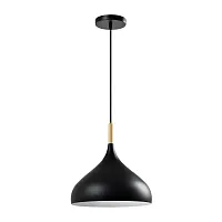 Светильник подвесной Eline V1291-1P Moderli чёрный 1 лампа, основание чёрное в стиле скандинавский 