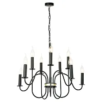 Люстра подвесная Roosevelt GRLSP-8198 Lussole без плафона на 10 ламп, основание чёрное в стиле современный Люстра подвесная Roosevelt GRLSP-8198 Lussole без плафона на 10 ламп, основание чёрное в стиле современный