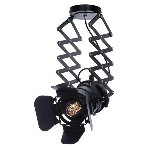Светильник подвесной лофт LSP-9702 Lussole чёрный 1 лампа, основание чёрное в стиле лофт прожектор фото 2