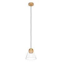 Светильник подвесной Cerasella 99628 Eglo прозрачный 1 лампа, основание матовое латунь в стиле современный 