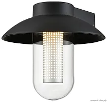 Настенный светильник LED Wella WE936.01.021 Wertmark уличный IP54 чёрный 1 лампа, плафон прозрачный в стиле хай-тек LED