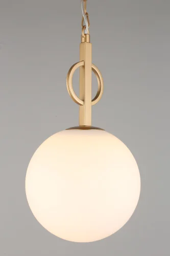 Светильник подвесной Gracia APL.751.06.01 Aployt белый 1 лампа, основание золотое в стиле классический  фото 4