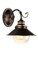 Бра Fontelo OML-50401-01 Omnilux прозрачный 1 лампа, основание коричневое в стиле кантри 