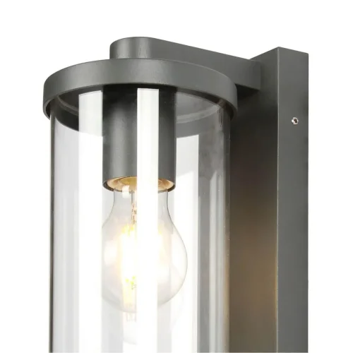 Настенный светильник Lukturis 3038-1W Favourite уличный IP44 чёрный 1 лампа, плафон прозрачный в стиле современный E27 фото 2