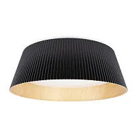 Светильник потолочный LED Evans 10224 Black LOFT IT белый 1 лампа, основание коричневое чёрное в стиле современный 