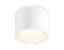 Светильник накладной TN532 TN5321 Ambrella light белый 1 лампа, основание белое в стиле хай-тек современный круглый