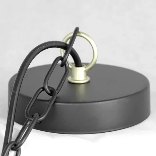 Люстра подвесная Roosevelt LSP-8198 Lussole без плафона на 10 ламп, основание чёрное в стиле современный  фото 6