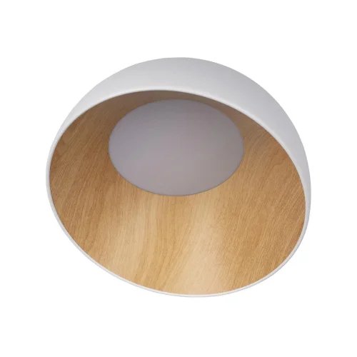 Светильник потолочный LED Egg 10197/350 White LOFT IT белый бежевый коричневый 1 лампа, основание коричневое белое в стиле современный  фото 3
