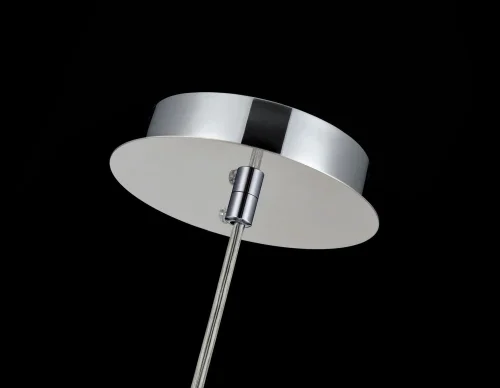 Светильник подвесной Fermi P140-PL-170-1-N Maytoni прозрачный хром 1 лампа, основание никель в стиле современный шар фото 5
