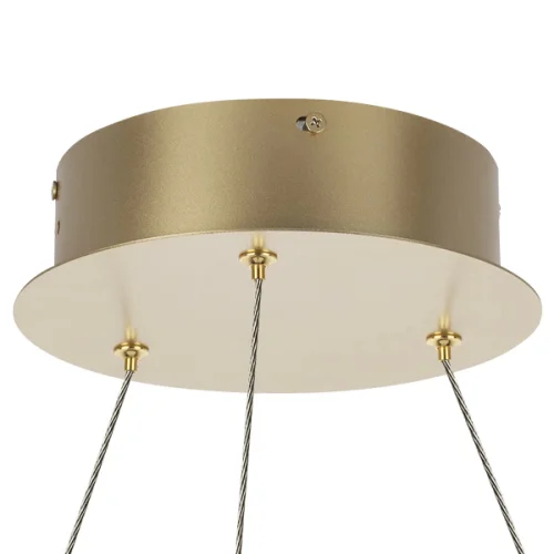 Люстра подвесная LED Rotonda 736323 Lightstar прозрачная золотая на 1 лампа, основание золотое в стиле современный хай-тек кольца фото 7