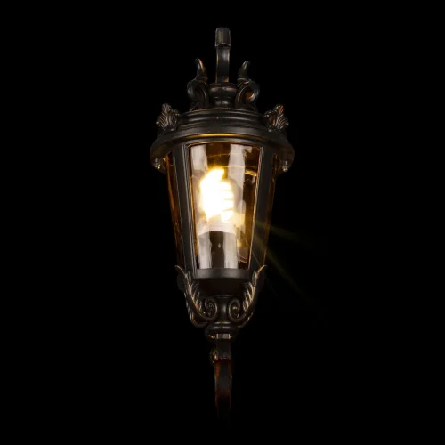 Настенный светильник Verona 100003W LOFT IT уличный IP55 чёрный 1 лампа, плафон прозрачный в стиле классический E27 фото 4