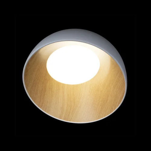 Светильник потолочный LED Egg 10197/350 White LOFT IT белый бежевый коричневый 1 лампа, основание коричневое белое в стиле современный  фото 4