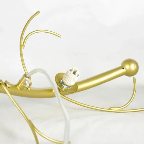 Светильник подвесной LSP-8748 Lussole белый 6 ламп, основание матовое золото в стиле современный флористика  фото 5