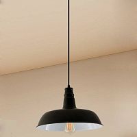 Светильник Эдисон подвесной CL450205 Citilux чёрный белый 1 лампа, основание чёрное в стиле лофт 