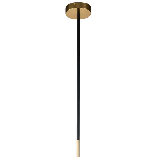 Светильник подвесной Light point 2997-1P Favourite чёрный 1 лампа, основание чёрное в стиле хай-тек трубочки фото 4