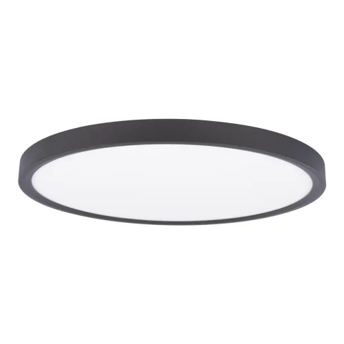 Светильник потолочный LED Extraslim 10227/40 Black LOFT IT белый 1 лампа, основание чёрное в стиле современный  фото 3