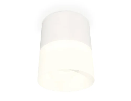 Светильник накладной XS8110002 Ambrella light белый 1 лампа, основание белое в стиле хай-тек круглый