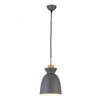 Светильник подвесной 1107/1S Escada серый 1 лампа, основание серое в стиле современный 