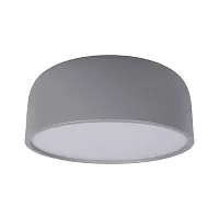 Светильник потолочный LED Axel 10201/350 Grey LOFT IT белый серый 1 лампа, основание серое в стиле современный 