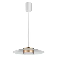 Светильник подвесной LED Pilz 358895 Novotech белый золотой 1 лампа, основание белое в стиле современный минимализм 