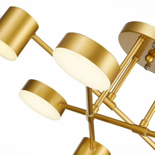 Светильник потолочный LED Nobel SLE201022-06 Evoluce золотой 6 ламп, основание золотое в стиле современный хай-тек  фото 5