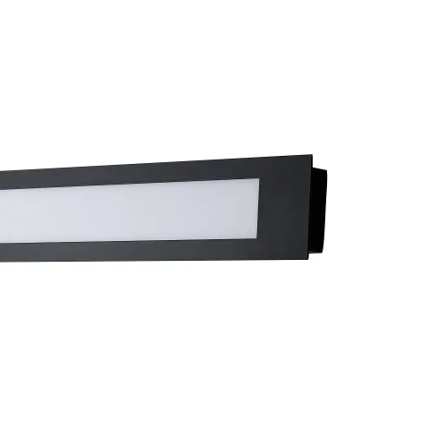 Светильник потолочный LED Meridiem 4004-2W Favourite белый 2 лампы, основание чёрное в стиле современный  фото 5