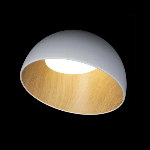 Светильник потолочный LED Egg 10197/350 White LOFT IT белый бежевый коричневый 1 лампа, основание коричневое белое в стиле современный  фото 2