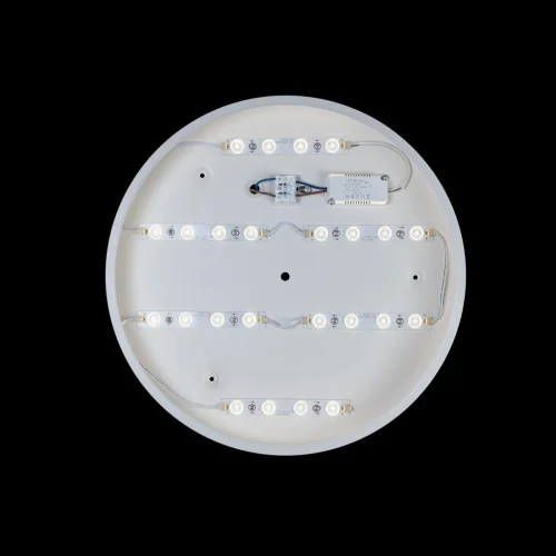 Светильник потолочный LED Axel 10003/24 White LOFT IT белый 1 лампа, основание белое в стиле современный  фото 3