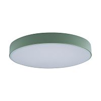 Светильник потолочный LED Axel 10002/24 Green LOFT IT белый 1 лампа, основание зелёное в стиле современный 