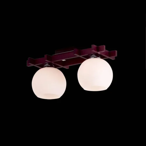 Спот Нарита с 2 лампами CL114121 Citilux белый E27 в стиле современный  фото 2