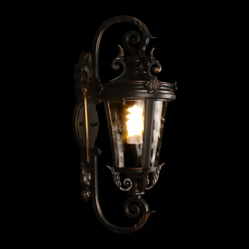 Настенный светильник Verona 100003W LOFT IT уличный IP55 чёрный 1 лампа, плафон прозрачный в стиле классический E27 фото 2