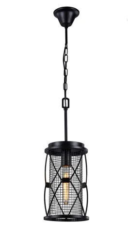 Светильник подвесной лофт Mesh 1783-1P Favourite чёрный 1 лампа, основание чёрное в стиле лофт 