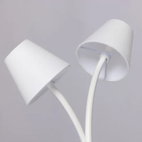 Настольная лампа LED Аэлита 480032702 MW-Light белая 2 лампы, основание белое металл в стиле современный  фото 3
