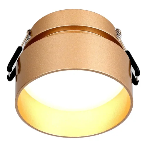 Светильник точечный Inserta 2885-1C Favourite золотой 1 лампа, основание золотое в стиле современный  фото 2