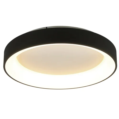 Люстра потолочная LED с пультом Niseko 8582 Mantra чёрная на 1 лампа, основание чёрное в стиле современный хай-тек с пультом фото 2