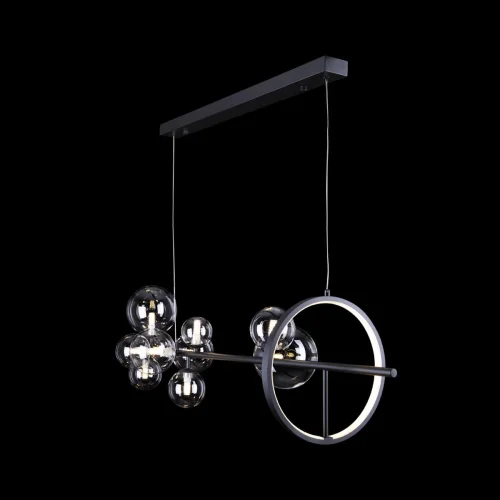 Светильник подвесной Molecule 10023/1200L LOFT IT прозрачный 10 ламп, основание чёрное в стиле современный шар фото 6