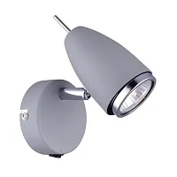 Спот с 1 лампой Regista A1966AP-1GY Arte Lamp серый 1 лампа, основание серое в стиле современный 