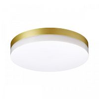 Потолочный светильник LED Opal 358888 Novotech уличный IP54 золотой 1 лампа, плафон белый в стиле хай-тек современный LED