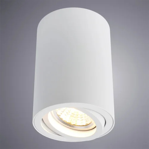 Светильник накладной Sentry A1560PL-1WH Arte Lamp белый 1 лампа, основание белое в стиле современный круглый фото 2