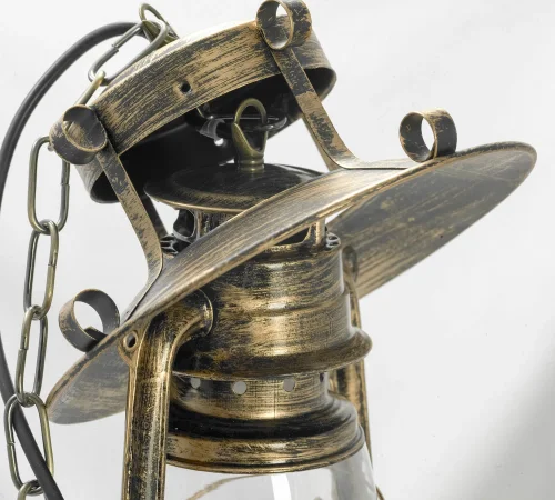 Светильник подвесной LSP-9518 Lussole прозрачный 1 лампа, основание античное бронза в стиле кантри  фото 6