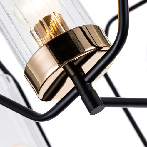 Люстра потолочная Celaeno A7004PL-5BK Arte Lamp прозрачная на 5 ламп, основание чёрное в стиле классический  фото 4