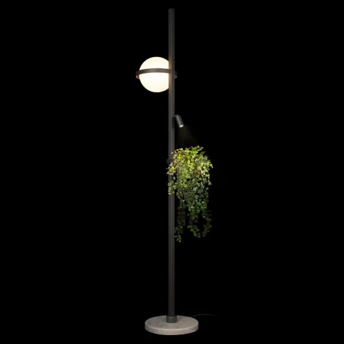 Торшер LED Jardin 10121/F Dark grey LOFT IT  белый 1 лампа, основание антрацит чёрное в стиле флористика арт-деко
 фото 2