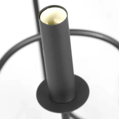 Люстра подвесная Roosevelt GRLSP-8198 Lussole без плафона на 10 ламп, основание чёрное в стиле современный  фото 2