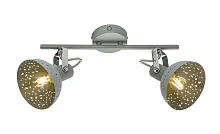 Спот с 2 лампами Fabian 54653-2 Globo серый E14 в стиле современный 