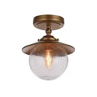 Светильник потолочный Farola 2027-1U Favourite античный бронза 1 лампа, основание античное бронза в стиле кантри 