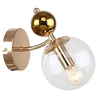 Бра LSP-8724 Lussole прозрачный 1 лампа, основание золотое в стиле современный 