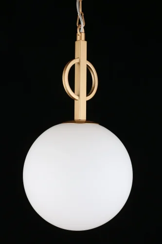 Светильник подвесной Gracia APL.751.06.01 Aployt белый 1 лампа, основание золотое в стиле классический  фото 6