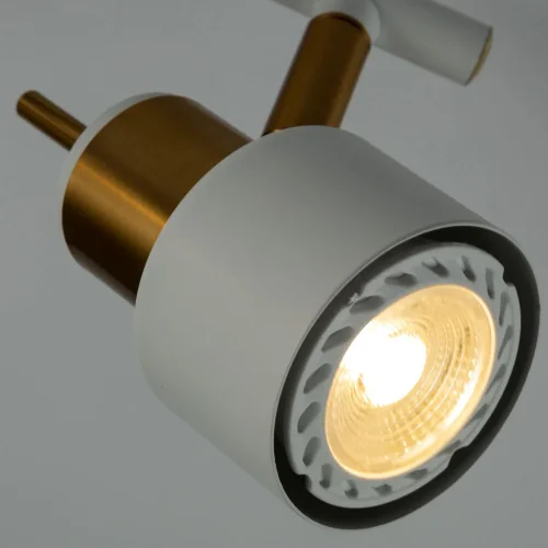 Спот с 2 лампами Almach A1906PL-2WH Arte Lamp белый GU10 в стиле современный  фото 2