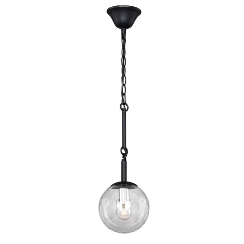 Светильник подвесной Cirque 2169-1P F-promo прозрачный 1 лампа, основание чёрное в стиле современный 